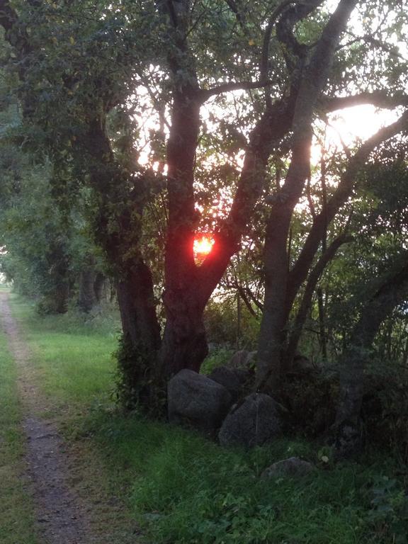 Paradiset Oestra Oeland Nedra Sandby ภายนอก รูปภาพ